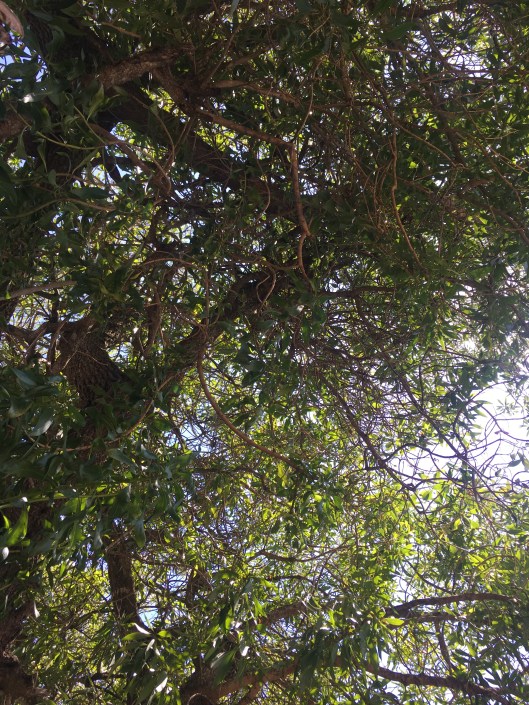 4c96eb61-1d4b-4ea3-ab34-8039b5b70810